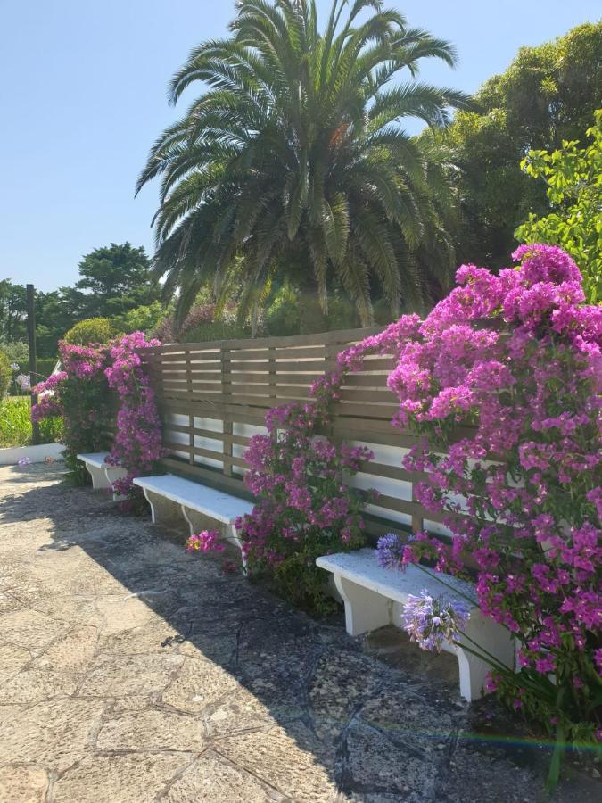 Quinta Casa Portuguesa Villa Sintra Esterno foto