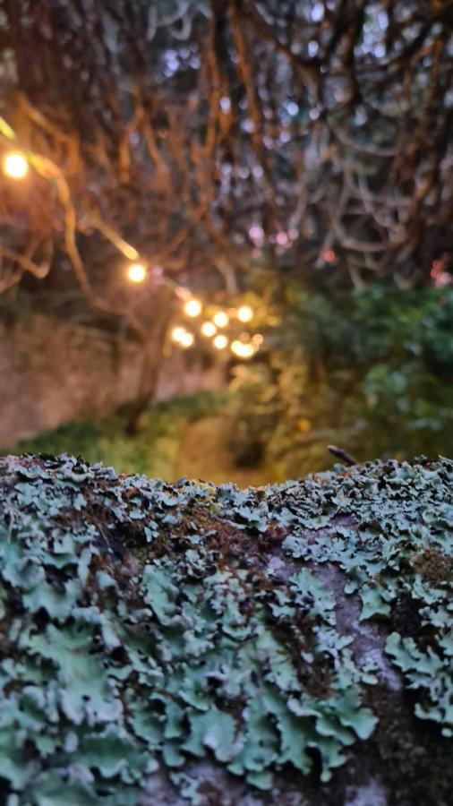 Quinta Casa Portuguesa Villa Sintra Esterno foto